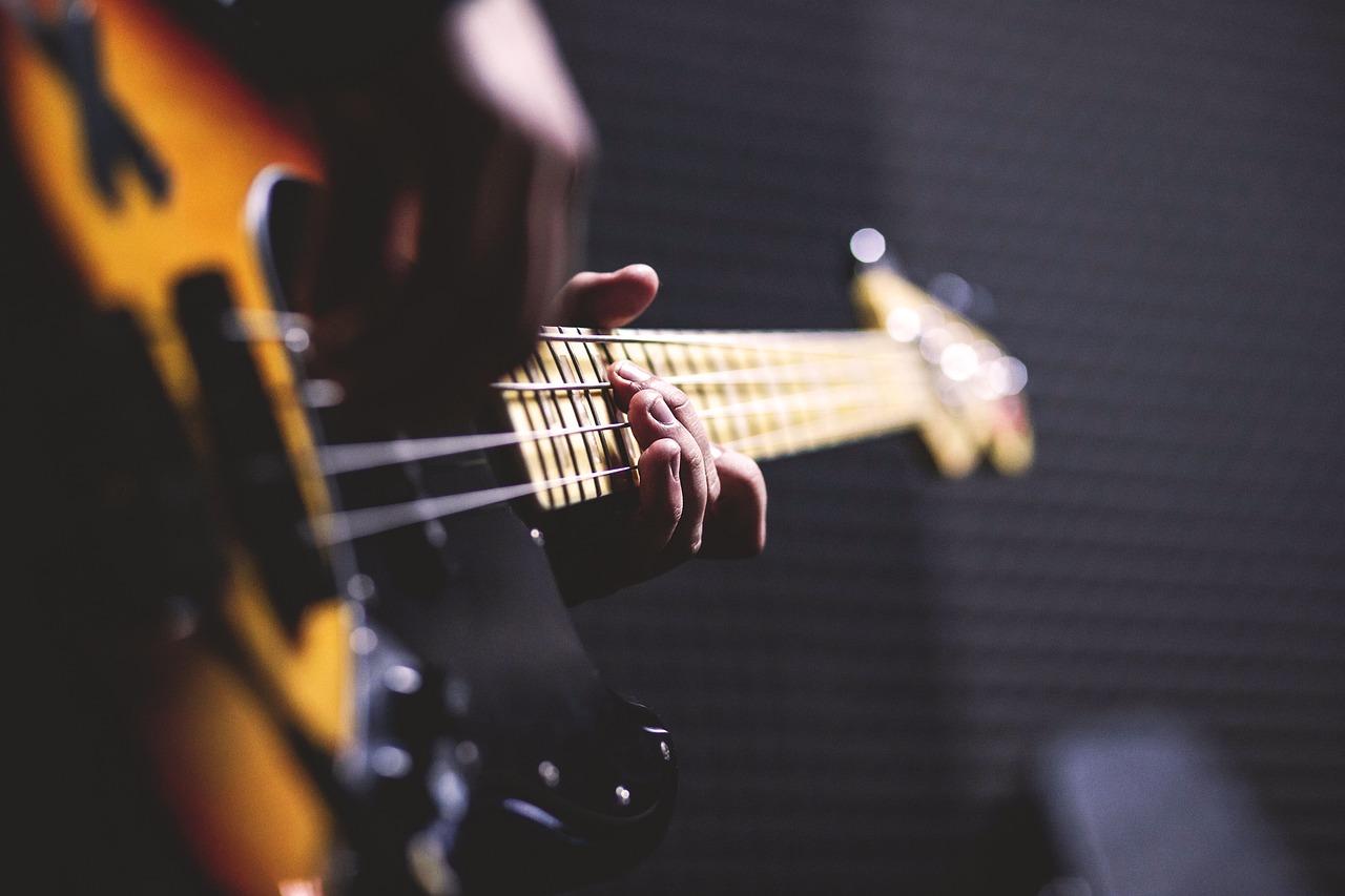 Bassguitar
